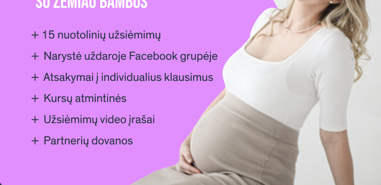 Gimdymo kursai ,,Nėštumo kelionė” su Žemiau Bambos