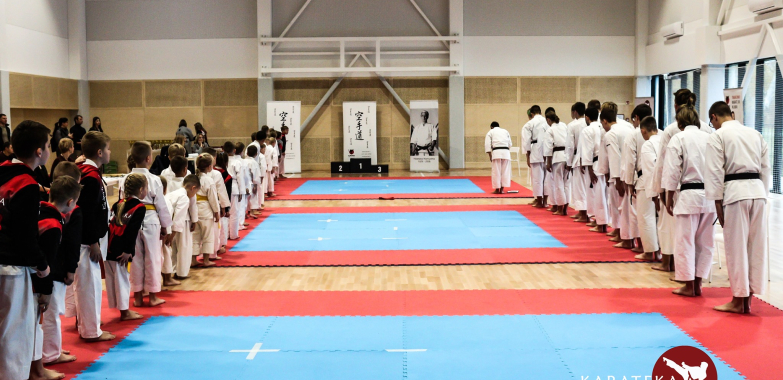 Tradicinio Karate užsiėmimai – KARATEKA