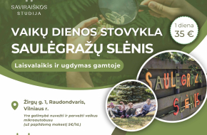 Vaikų dienos stovykla „Saulėgrąžų slėnis”